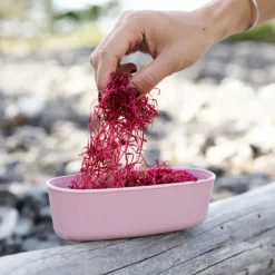 Light My Fire SnapBox oval BIO 2-pack Musty Yellow / Hazy Blue