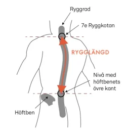 Lundhags Saruk Pro 75 L Regular Short rinkka, maastonvihreä