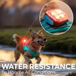 MeolinQ Light01 500 lm