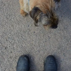 Muck Boot Excursion Ankle Unisex Musta