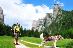 Neewa joustohihna 1,5m