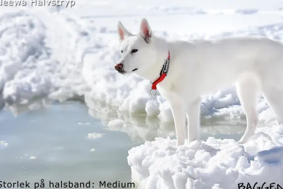 Neewa puolikuristava panta, sininen