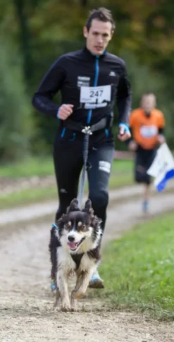 Neewa Running Harness Musta