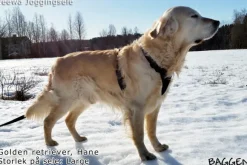 Neewa Running Harness Musta