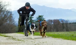 Neewa säädettävät vetovaljaat, sininen