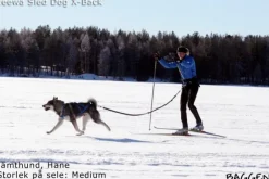 Neewa Sled dog X-back -vetovaljaat keltainen