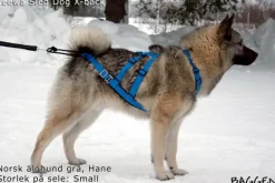 Neewa Sled dog X-back -vetovaljaat keltainen