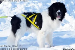 Neewa Sled dog X-back -vetovaljaat keltainen