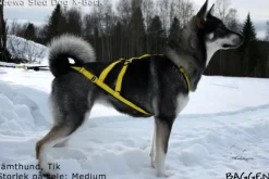 Neewa Sled dog X-back -vetovaljaat keltainen