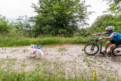 Neewa Sled Pro vetovaljaat, sininen