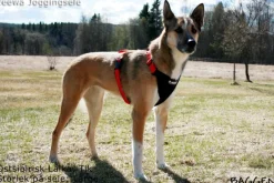 Neewa valjaat, punainen