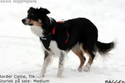 Neewa valjaat, punainen