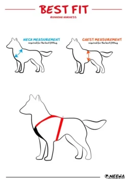 Neewa valjaat, punainen