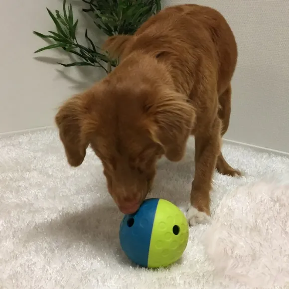 Nina Ottosson Treat Tumble S 12 cm