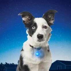 Nite Ize SpotLit Collar Light Red