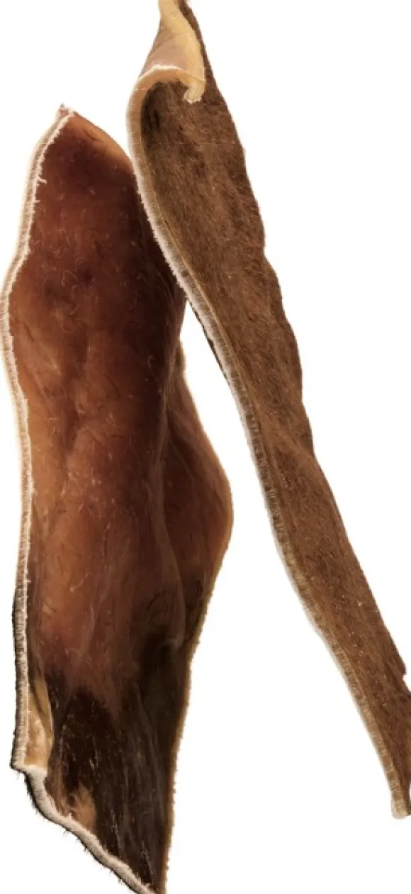 Njord Pet puruluu naudasta