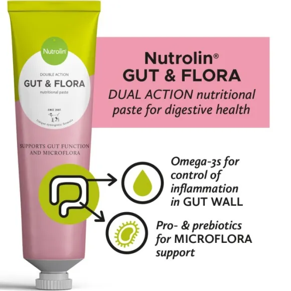 Nutrolin Gut & Flora Nutritional Paste 600 g