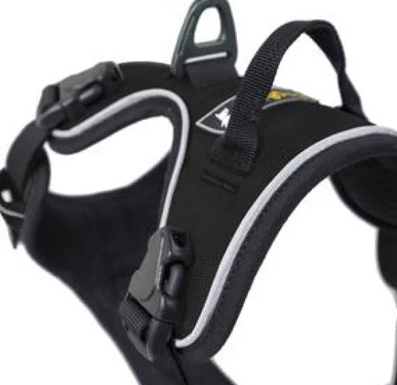 OllyDog Alpine Reflective Harness Raven