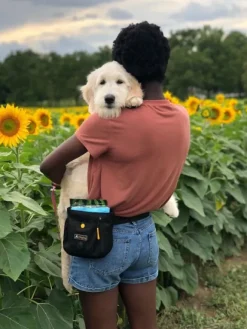 OllyDog Backcountry Day Bag Vyölaukku Raven