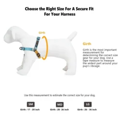 OllyDog Essential Harness Raven Bark