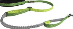 OllyDog Flagstaff Adjustable Spring Leash Sage Bark