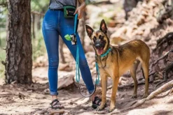 OllyDog Flagstaff Adjustable Spring Leash Surf