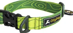 OllyDog Flagstaff Collar Sage Bark