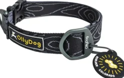 OllyDog Flagstaff Collar Raven Bark