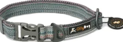 OllyDog Flagstaff Collar säädettävä kaulapanta, värikäs
