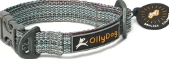 OllyDog Flagstaff Collar säädettävä kaulapanta, värikäs