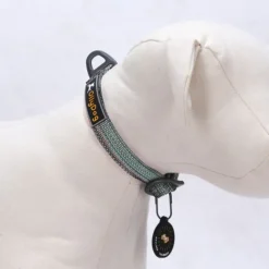 OllyDog Flagstaff Collar säädettävä kaulapanta, värikäs