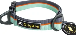 OllyDog Flagstaff Collar Surf