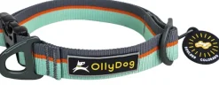 OllyDog Flagstaff Collar Surf