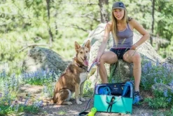 OllyDog Flagstaff Collar Surf