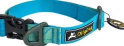 OllyDog Flagstaff Collar kaulapanta, sininen