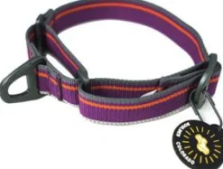 OllyDog Martingale Mesa Collar Wild Aster