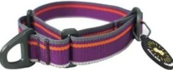 OllyDog Martingale Mesa Collar Wild Aster