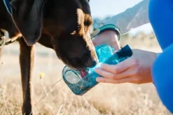 OllyDog OllyBottle Grass 600 ml