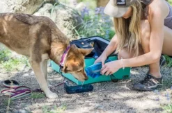 OllyDog OllyBottle Plum 600 ml