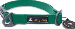 OllyDog Tilden Collar kaulapanta, vihreä