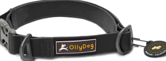 OllyDog Tilden kaulapanta, musta