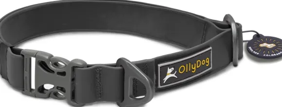 OllyDog Tilden kaulapanta, musta
