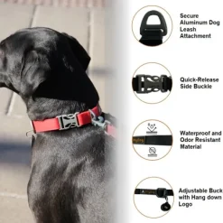 OllyDog Tilden kaulapanta, musta