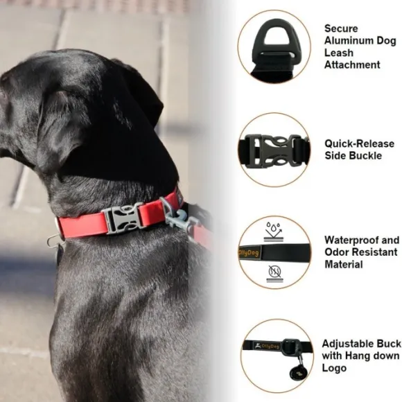 OllyDog Tilden kaulapanta, musta