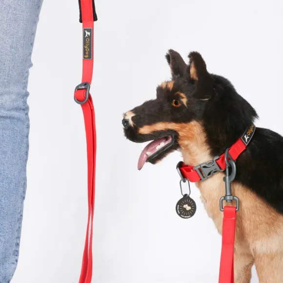 OllyDog Tilden Leash talutin, punainen
