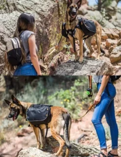 OllyDog Trekker RF Atlantic