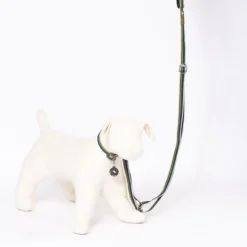 OllyDog Urban Trail Adjustable Leash talutin, musta