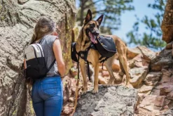 OllyDog Urban Trail Adjustable Spring Leash Anthracite