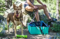 OllyDog Urban Trail Reflective Collar Air Blue