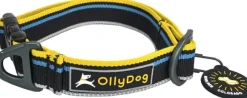 OllyDog Urban Trail Reflective Collar Anthracite